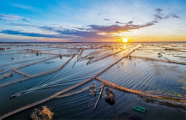 Phá Tam Giang: Vùng đất của thiên nhiên hoang dã 